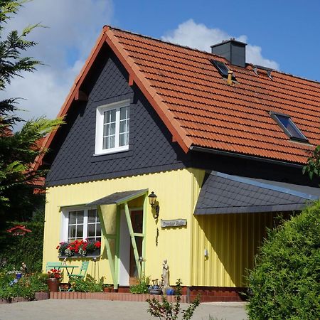 Gemuetliche Einraumwohnung Im Erdgeschoss Mit Doppelbett Und Kaminofen Benneckenstein Exteriör bild